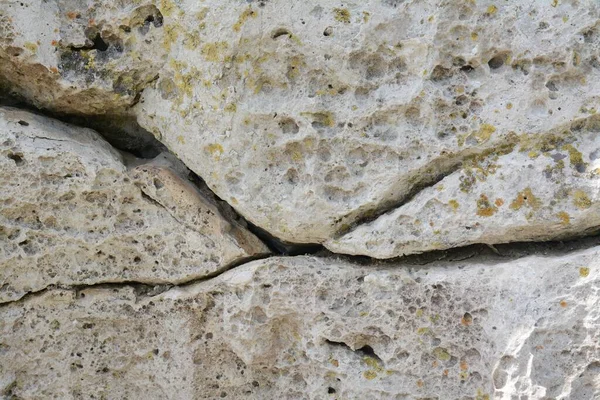 Closeup View Stone Covered Lichen Background — Fotografia de Stock