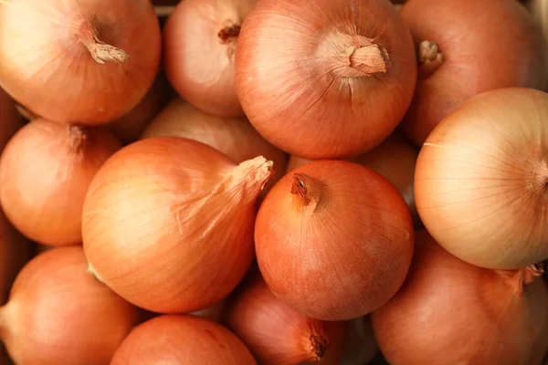 Veel Rijpe Uienbollen Als Achtergrond Close — Stockfoto