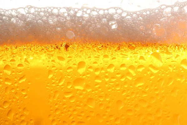 Glass Tasty Cold Beer Foam Condensation Drops White Background Closeup — Stockfoto
