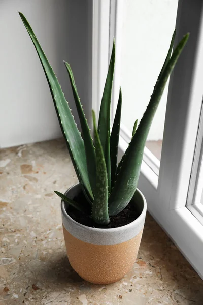Hijau Aloe Vera Dalam Pot Pada Jendela Marmer Dalam Ruangan — Stok Foto
