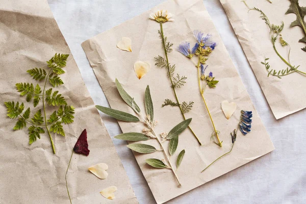 Sheets Paper Dried Flowers Leaves White Fabric Flat Lay —  Fotos de Stock