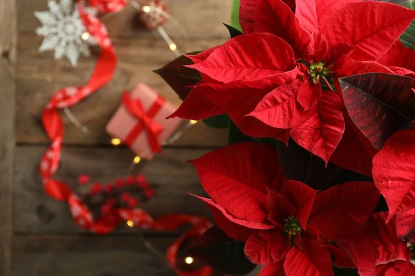 Poinsettia Tradizionale Fiore Natale Articoli Vacanze Tavolo Legno Vista Dall — Foto Stock