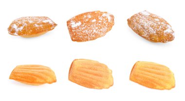 Set with delicious madeleine cakes on white background