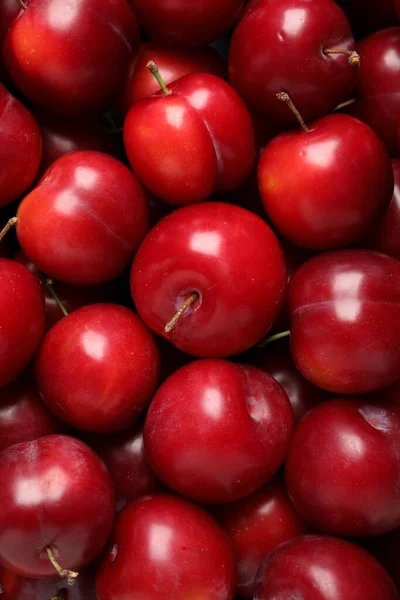 Ameixas Cereja Maduras Frescas Como Fundo Close — Fotografia de Stock