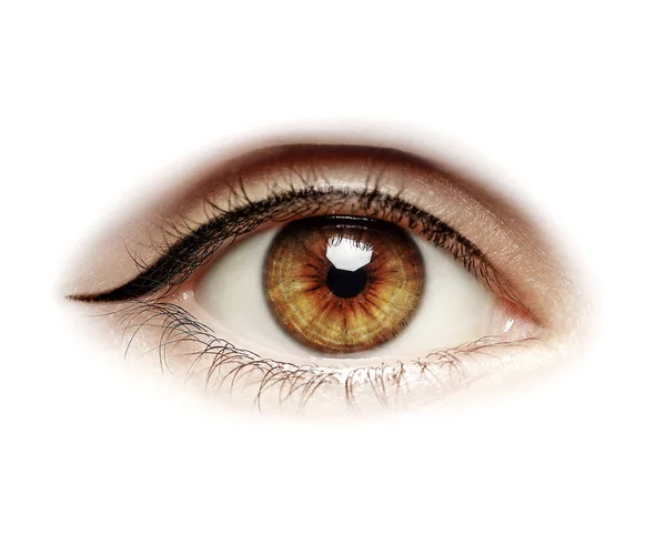 Beautiful Human Eye Isolated White Closeup — Photo