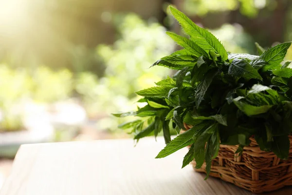 Schöne Grüne Minze Weidenkorb Auf Weißem Holztisch Freien Platz Für — Stockfoto