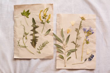 Sheets of paper with dried flowers and leaves on white fabric, flat lay