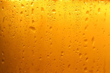 Glass of tasty cold beer with condensation drops as background, closeup