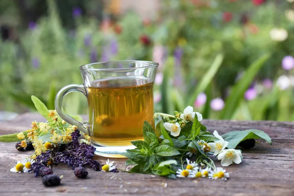 Tazza Aromatico Caldo Diverse Erbe Fresche Sulla Tavola Legno All — Foto Stock