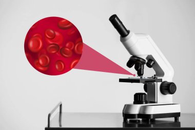 Laboratuvarda mikroskop altında kan örneklerinin incelenmesi