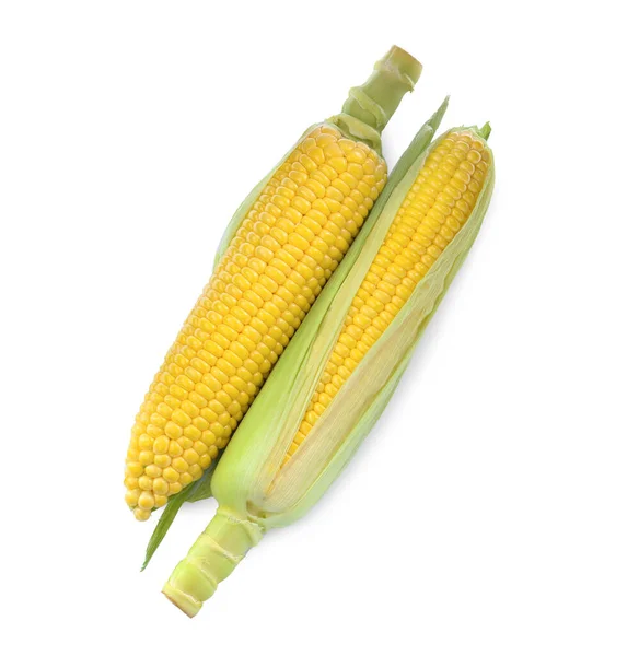 Tasty Fresh Corn Cobs Isolated White Top View — Stockfoto