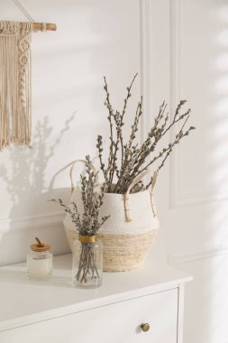 Pussy willow tree branches on white table indoors