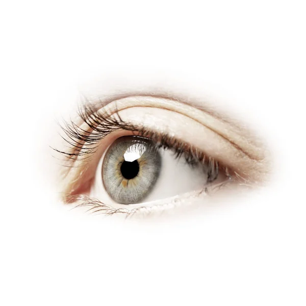 Beautiful Human Eye Isolated White Closeup — Photo