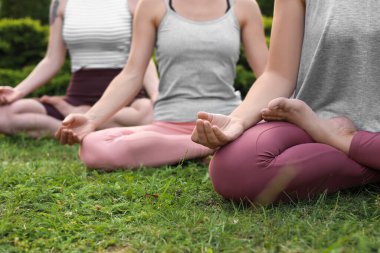 Dışarıdaki yeşil çimlerde meditasyon yapan kadınlar, yakın plan. Sabah yogası