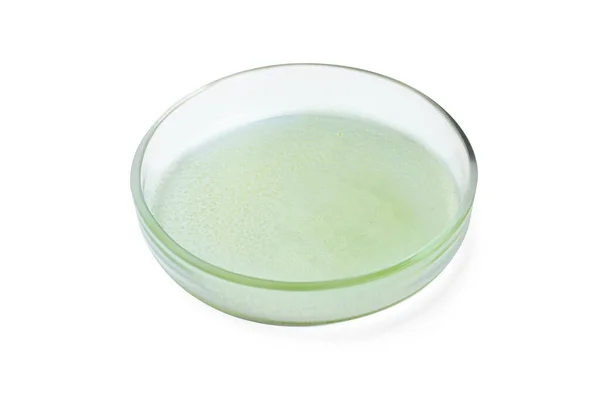 培养皿 绿色液体 白色隔离 — 图库照片