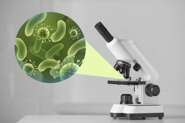 Обследование Образца Микробов Бактерий Микроскопом Лаборатории — стоковое фото