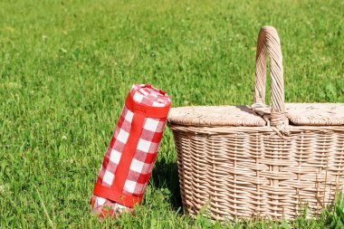 Yeşil çimlerin üzerinde piknik sepetinin yanında yuvarlanmış kareli masa örtüsü, mesaj için yer.