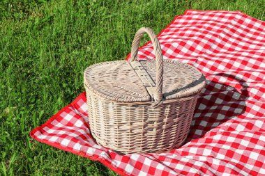 Yeşil çimlerin üzerinde kareli masa örtüsü olan piknik sepeti.