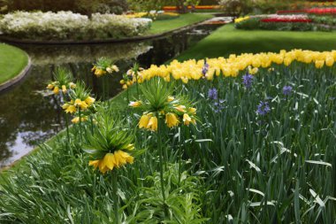 Park with beautiful flowers and water canal. Spring season