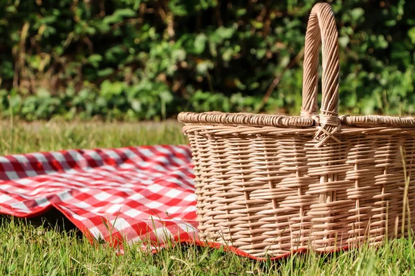 Picnic Basket Checkered Tablecloth Green Grass Outdoors Space Text — Photo