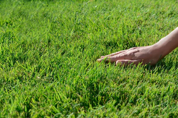 Mujer Tocando Hierba Fresca Césped Verde Primer Plano Espacio Para — Foto de Stock
