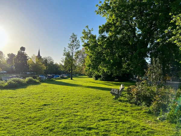 Живописный Вид Зеленый Парк Деревянной Скамейкой Солнечное Утро — стоковое фото