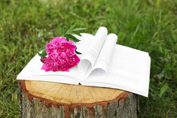 Open Book Beautiful Peony Tree Stump Outdoors — Stock Fotó