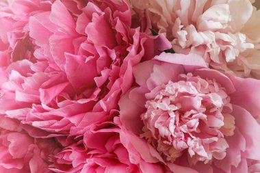 Closeup view of beautiful pink peony bouquet
