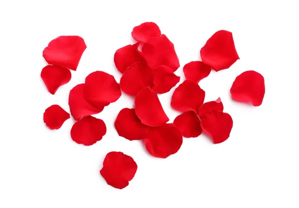 Many Red Rose Petals White Background Top View — Stockfoto