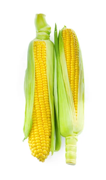 Tasty Fresh Corn Cobs Isolated White Top View — Stockfoto