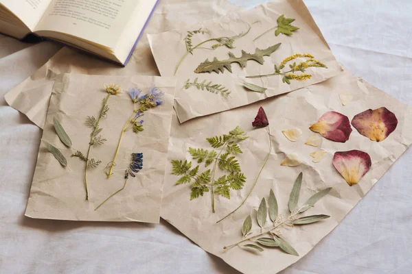 Arkusze Papieru Suszonymi Kwiatami Liśćmi Białej Tkaninie — Zdjęcie stockowe