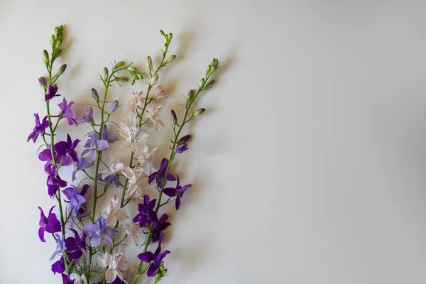 Bouquet of beautiful wildflowers on white background, top view. Space for text