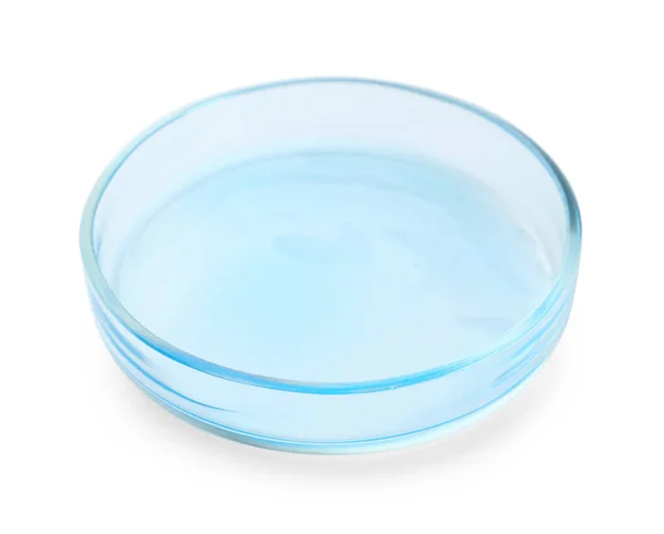 Placa Petri Com Líquido Azul Claro Isolado Branco — Fotografia de Stock