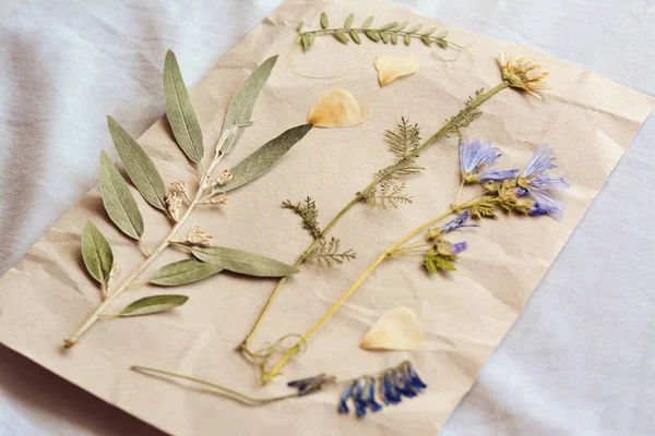 Φύλλο Χαρτιού Αποξηραμένα Λουλούδια Και Φύλλα Λευκό Ύφασμα Κοντινό Πλάνο — Φωτογραφία Αρχείου