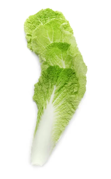 Leaf Chinese Cabbage White Background Top View — Stock Photo, Image