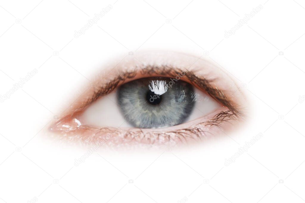Beautiful human eye isolated on white, closeup