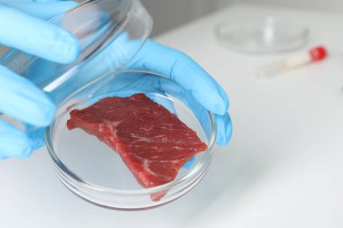 Bilimadamları laboratuarda petri kabını çiğ etle tutuyorlar, yakın plan.