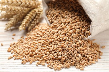 Sack with wheat grains on white wooden table, closeup