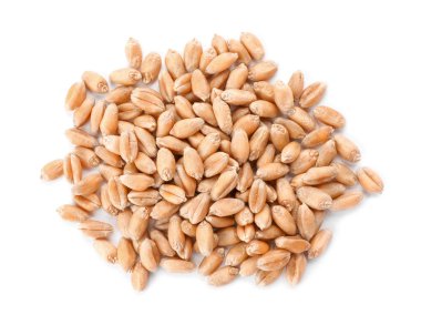 Pile of wheat grains on white background, top view