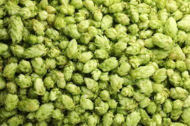 Arka plan olarak taze yeşil sıçramalar, üst görünüm