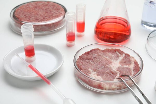 Samples of cultured meats on white lab table