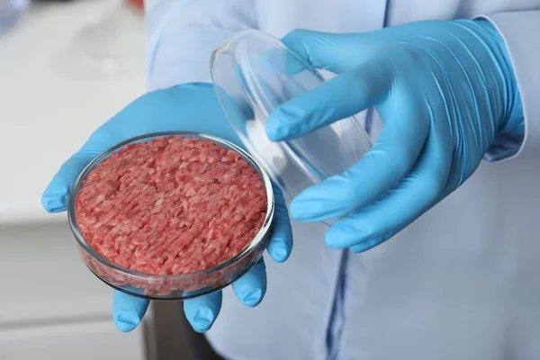 Laboratuvarda Petri Kabını Doğranmış Etle Tutan Bilim Adamı Yakın Plan — Stok fotoğraf