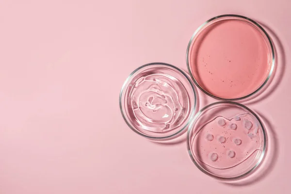 Petri dishes with liquids on pale pink background, flat lay. Space for text