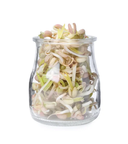 Mung Bean Sprouts Glass Jar Isolated White — ストック写真