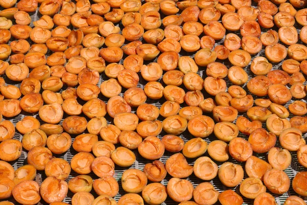 Many Halved Apricots Metal Drying Rack — Stockfoto