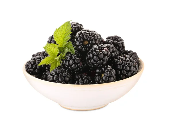 Tasty Ripe Blackberries Bowl Isolated White — Fotografia de Stock