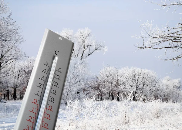 Weather Thermometer View Snowy Forest Space Text — Stock Photo, Image