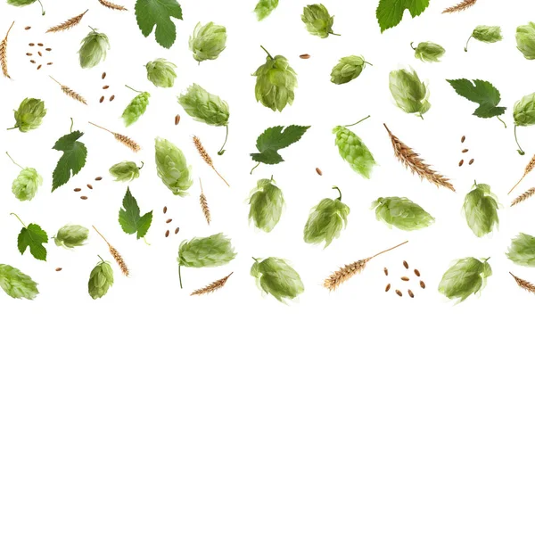 Хміль Зелене Листя Вуха Пшениці Білому Тлі — стокове фото