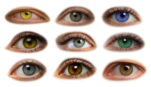 Beyaz Arkaplanda Güzel Gözlerin Fotoğraflarıyla Kolaj — Stok fotoğraf