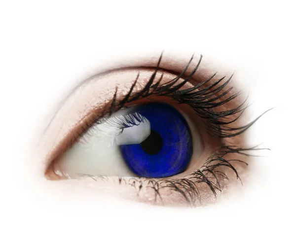 Beautiful Human Eye Isolated White Closeup — Stok fotoğraf